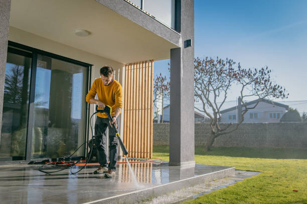 Solar Panel Cleaning in Iowa Colony, TX